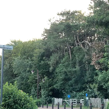 't Ziltebos