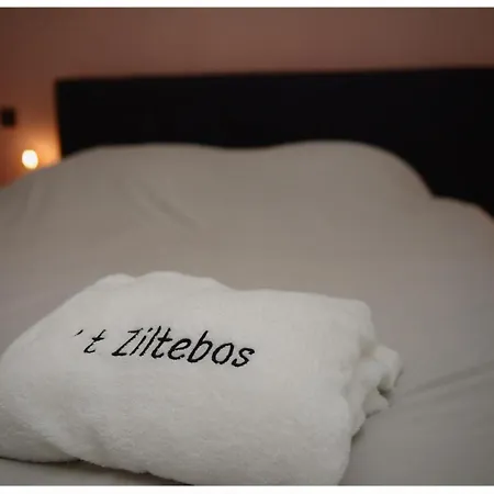 't Ziltebos