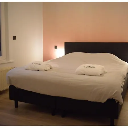 Séjour chez l'habitant 't Ziltebos *