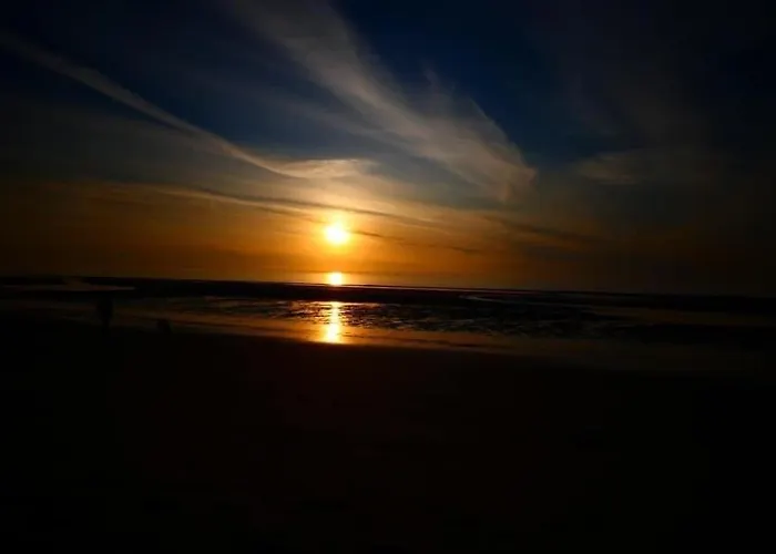 't Ziltebos Wenduine