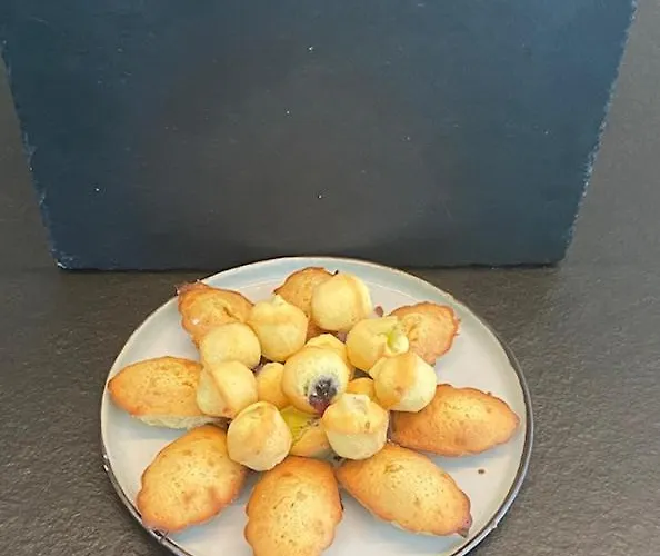 't Ziltebos Wenduine