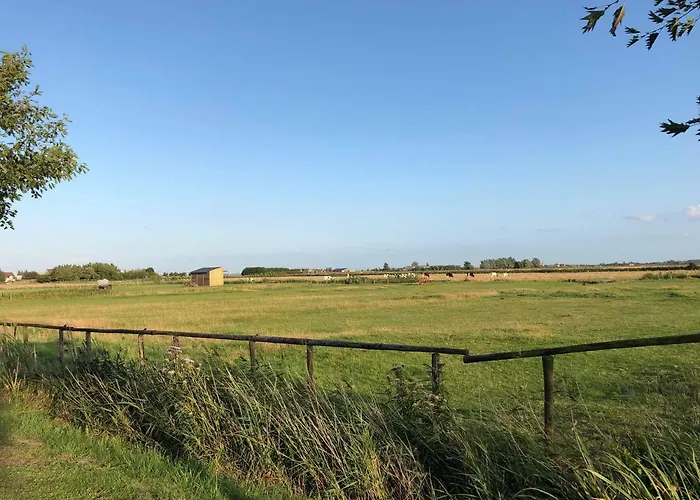 Homestay 't Ziltebos