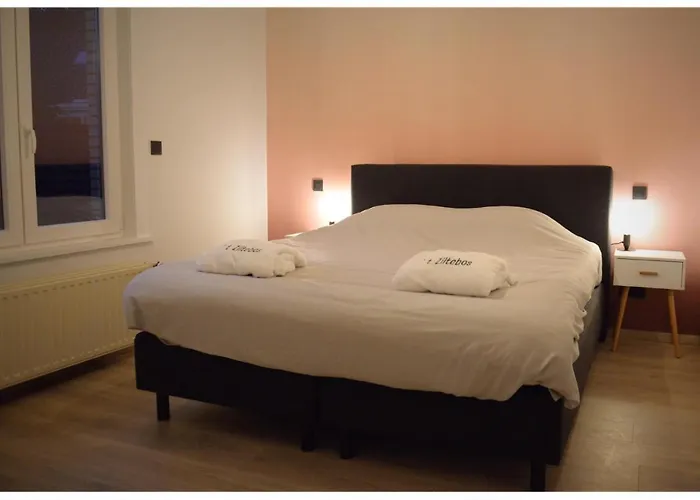 Homestay 't Ziltebos *